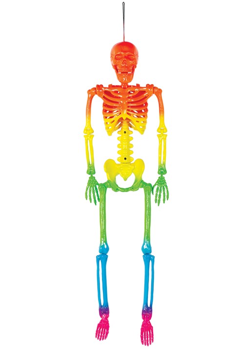 24-Inch Rainbow Skeleton Prop Decoration - US 3609