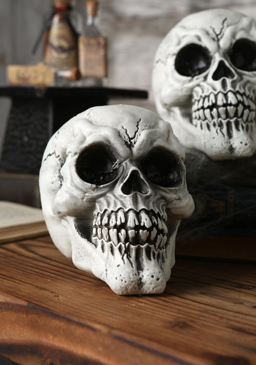 3-Pack of Large Skulls Table Decoration - US 9860