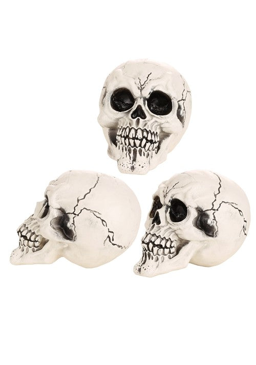 3-Pack of Large Skulls Table Decoration - US 9860