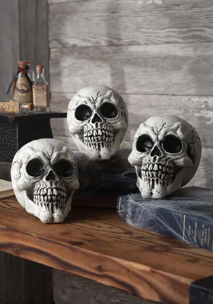 3-Pack of Large Skulls Table Decoration - US 9860