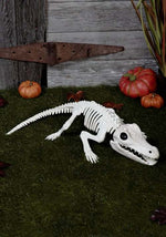 31-Inch Crocodile Skeleton Halloween Decoration - US 5075
