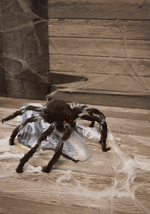 36-Inch Jumping Black Spider Animatronic Decoration - US 8843
