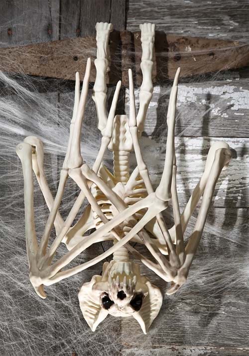 36-Inch Nocturnal Bat Skeleton Decoration - US 8869