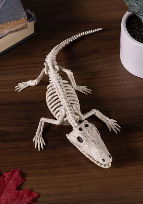10-Inch Baby Alligator Skeleton Decoration - US 1487