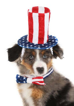 4th of July Pet Costume Accessory Kit - US 2912