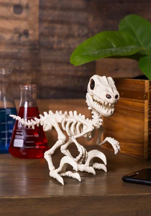 5.5-Inch Raptor Crazy Bonez Halloween Decoration - US 3529
