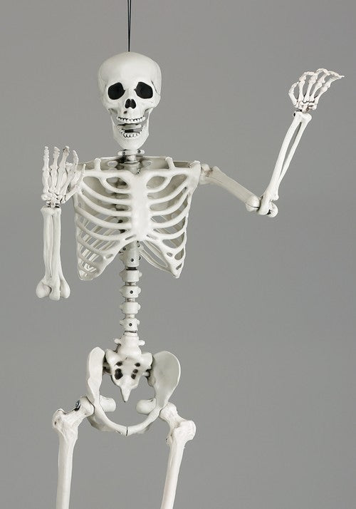 5FT Posable Georgie the Skeleton Life Size Decoration - US 1272