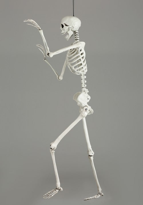 5FT Posable Georgie the Skeleton Life Size Decoration - US 1272