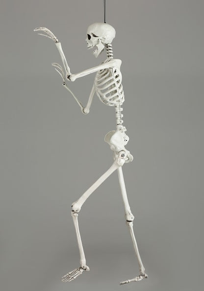 5FT Posable Georgie the Skeleton Life Size Decoration - US 1272