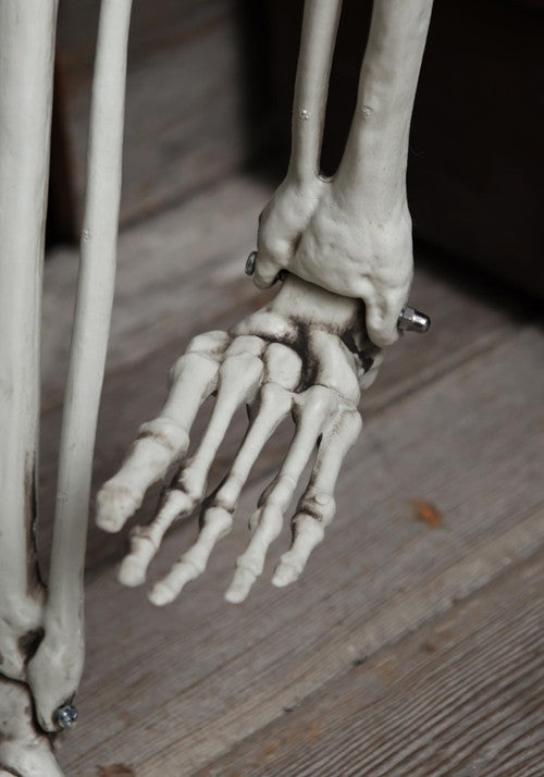 5FT Posable Georgie the Skeleton Life Size Decoration - US 1272