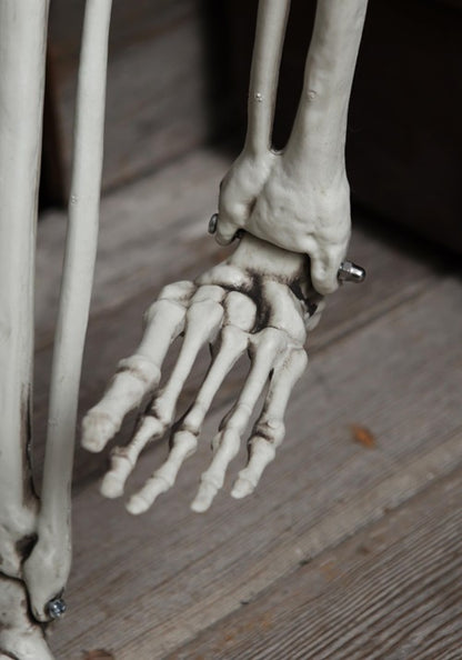 5FT Posable Georgie the Skeleton Life Size Decoration - US 1272