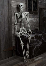 5FT Posable Georgie the Skeleton Life Size Decoration - US 1272