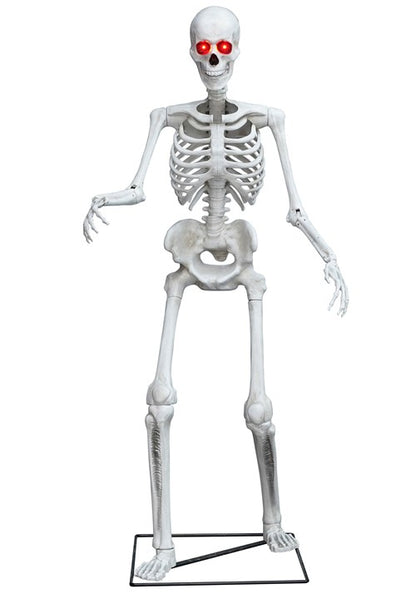 5FT Light Up Skeleton Decoration - US 3250