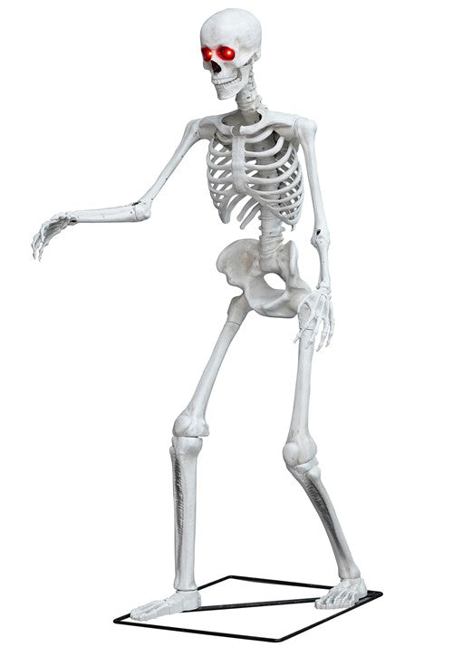5FT Light Up Skeleton Decoration - US 3250