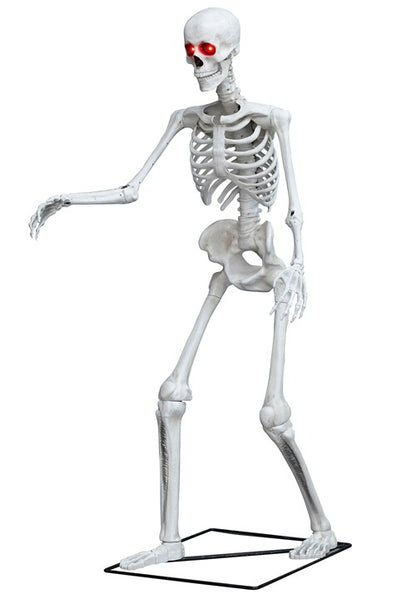 5FT Light Up Skeleton Decoration - US 3250