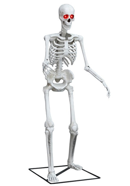 5FT Light Up Skeleton Decoration - US 3250