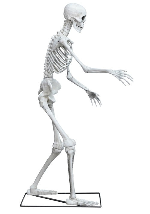 5FT Light Up Skeleton Decoration - US 3250