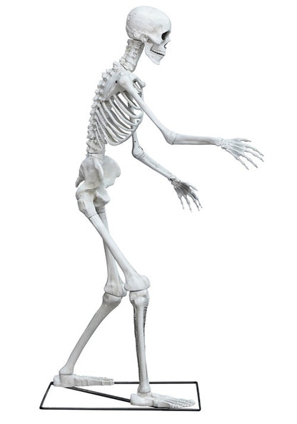 5FT Light Up Skeleton Decoration - US 3250