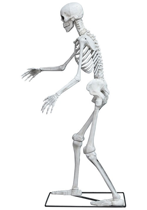 5FT Light Up Skeleton Decoration - US 3250