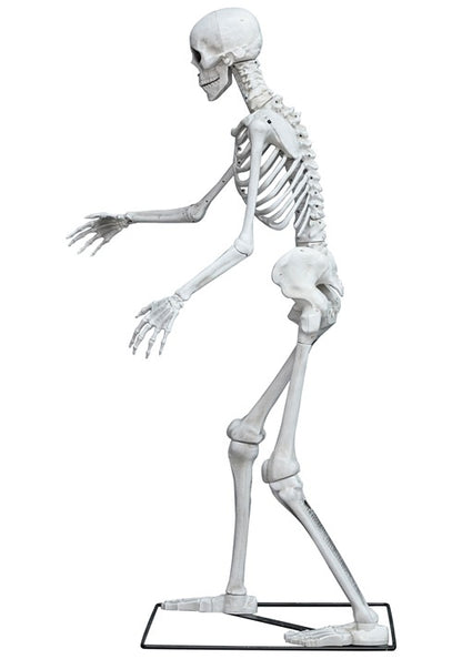 5FT Light Up Skeleton Decoration - US 3250