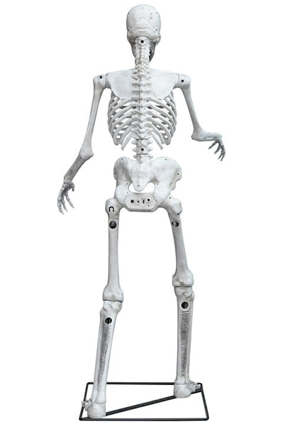 5FT Light Up Skeleton Decoration - US 3250
