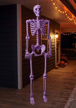 5FT Poseable Crazy Bones Skeleton in Purple Decoration - US 7612
