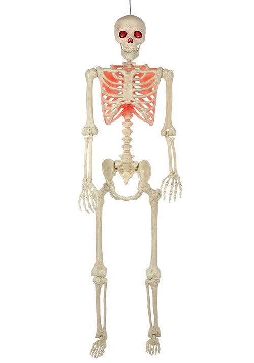 5 Foot Red Light Up Face and Chest Poseable Skeleton Halloween Decoration - US 7313