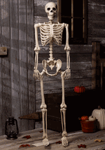 5 Foot Red Light Up Face and Chest Poseable Skeleton Halloween Decoration - US 7313