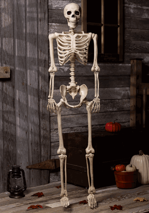 5 Foot Red Light Up Face and Chest Poseable Skeleton Halloween Decoration - US 7313
