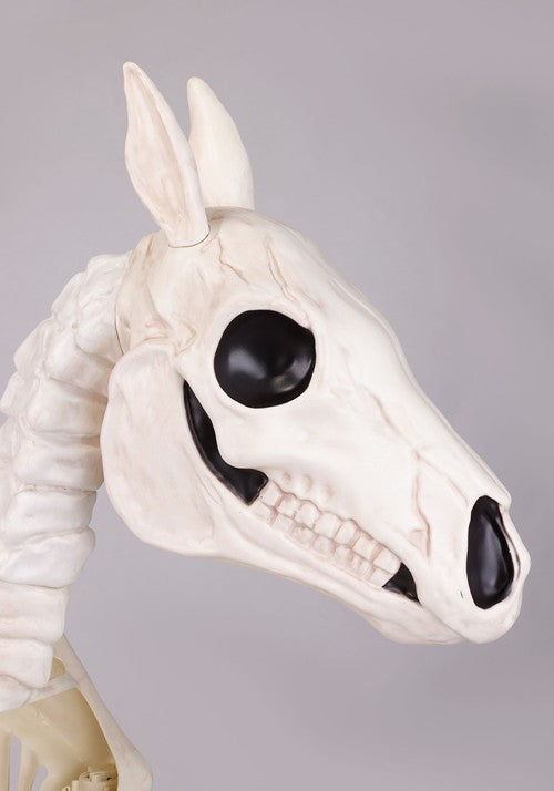 6FT Horse Skeleton Decoration - US 5516