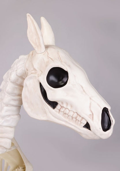 6FT Horse Skeleton Decoration - US 5516