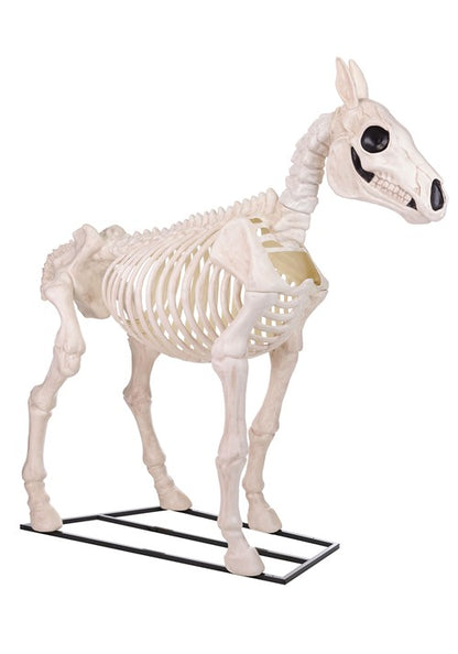 6FT Horse Skeleton Decoration - US 5516