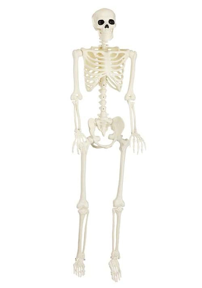 5FT Black Light Ghostly Skeleton Halloween Decoration - US 3428