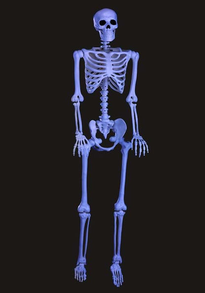 5FT Black Light Ghostly Skeleton Halloween Decoration - US 3428