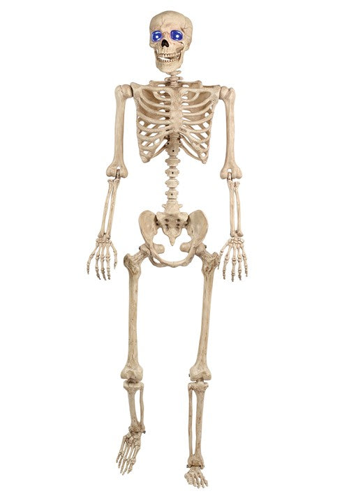 5FT Light Up Blue Eyes Poseable Human Skeleton Halloween Decoration - US 1595