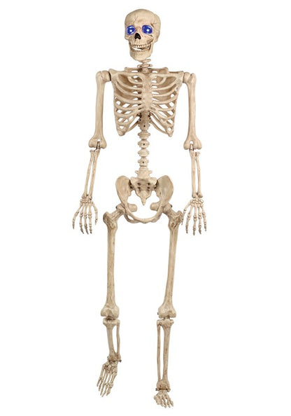 5FT Light Up Blue Eyes Poseable Human Skeleton Halloween Decoration - US 1595