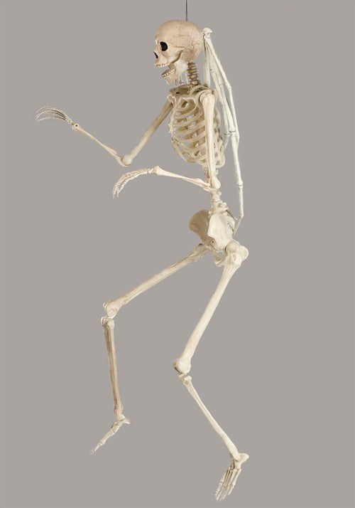 5FT Poseable Winged Skeleton Decoration - US 7348