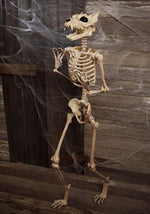 5.3FT Poseable Werewolf Skeleton Halloween Decoration - US 0999
