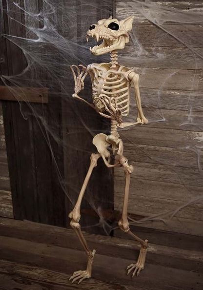 5.3FT Poseable Werewolf Skeleton Halloween Decoration - US 0999