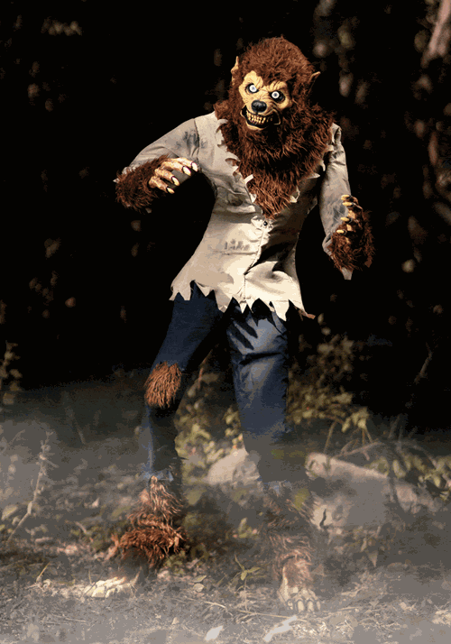 6 Foot Feral Werewolf Animatronic Seasonal Visions International Decoration - US 8727