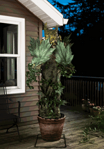 6FT The Potted Predator Plant Animatronic Decoration - US 3735