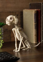 7.5-Inch Sitting Puppy Skeleton Decoration - US 5447