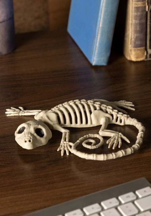 7-Inch Little Gecko Skeleton Decoration - US 5492