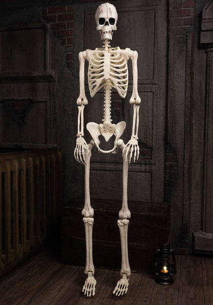 Poseable Frankenstein Skeleton Halloween Decoration - US 5999