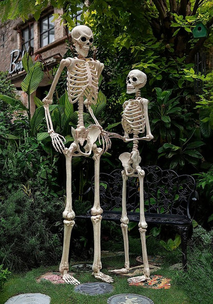 6.1FT White Life-Size Skeleton Decoration - US 0477