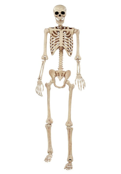 6.1FT White Life-Size Skeleton Decoration - US 0477