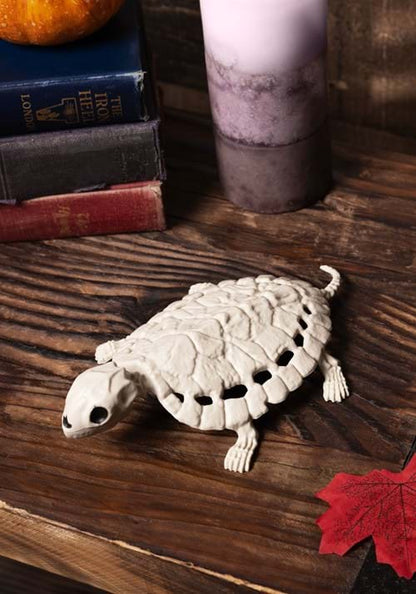 8-Inch Skeleton Turtle Decoration - US 1113