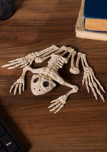 8-Inch Skeleton Frog Bones Decoration - US 7466