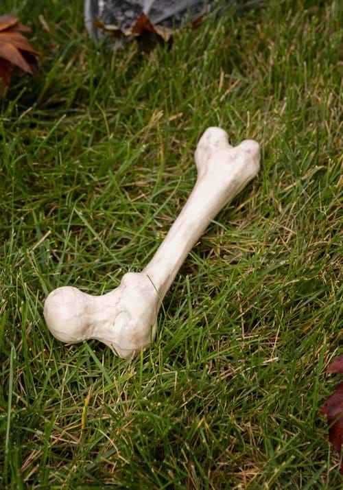 9-Inch Big Bone Decorative Prop - US 8640