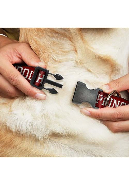 Springwood High Freddy Krueger Pet Plastic Collar - US 0715
